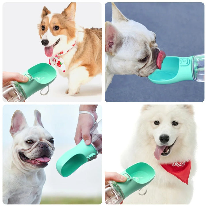 Gourde chien écologique, légère et résistante.  Hydratation facile pour vos balades.  Plusieurs tailles disponibles.
