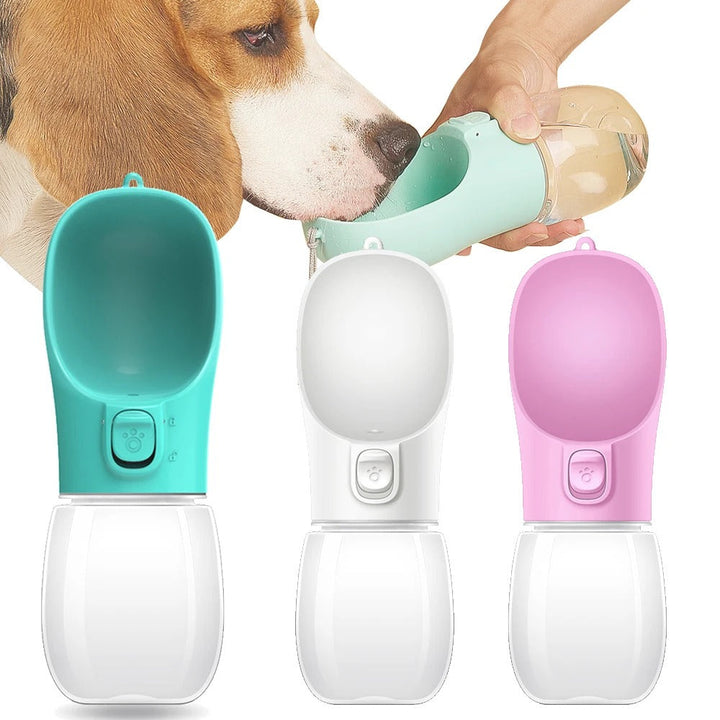 Gourde chien écologique, légère et résistante.  Hydratation facile pour vos balades.  Plusieurs tailles disponibles.