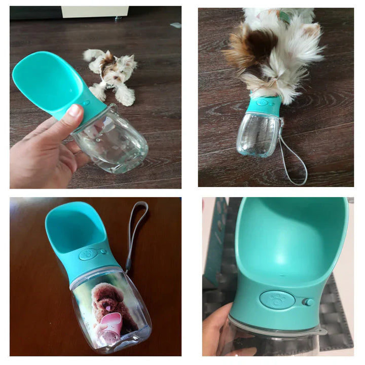Gourde d'eau anti-fuite pour chien, 350/550ml.  Idéale pour les voyages, avec bol intégré.