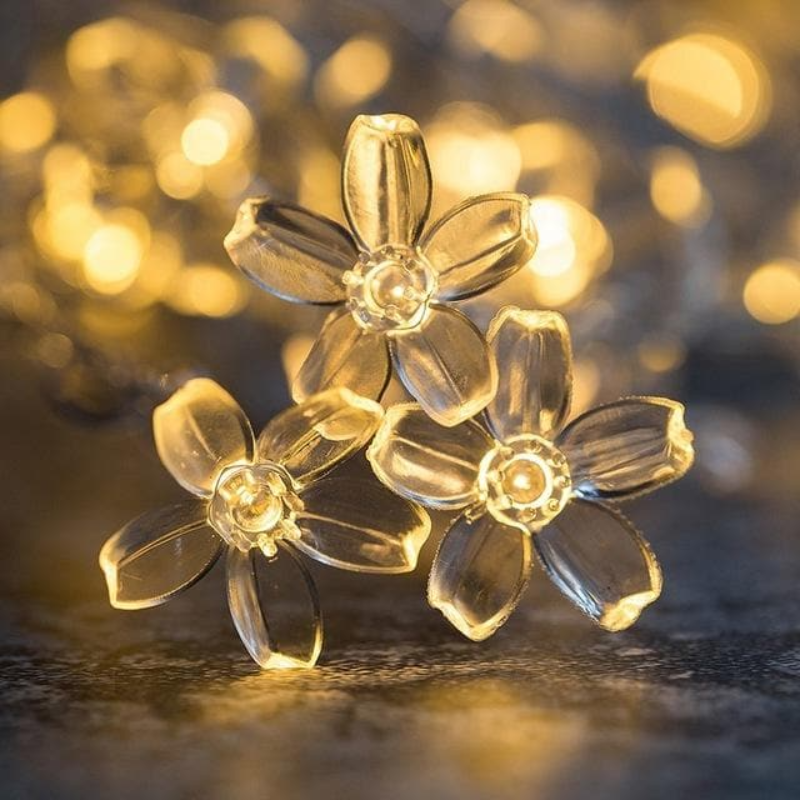 Guirlande lumineuse LED, décor féérique intérieur/extérieur.  Lumière douce et chaleureuse.