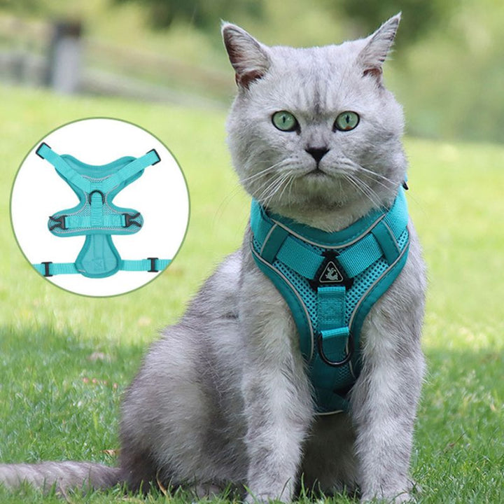 Harnais chat anti-fugue, confortable et résistant.  Promenade sécurisée pour votre matou.