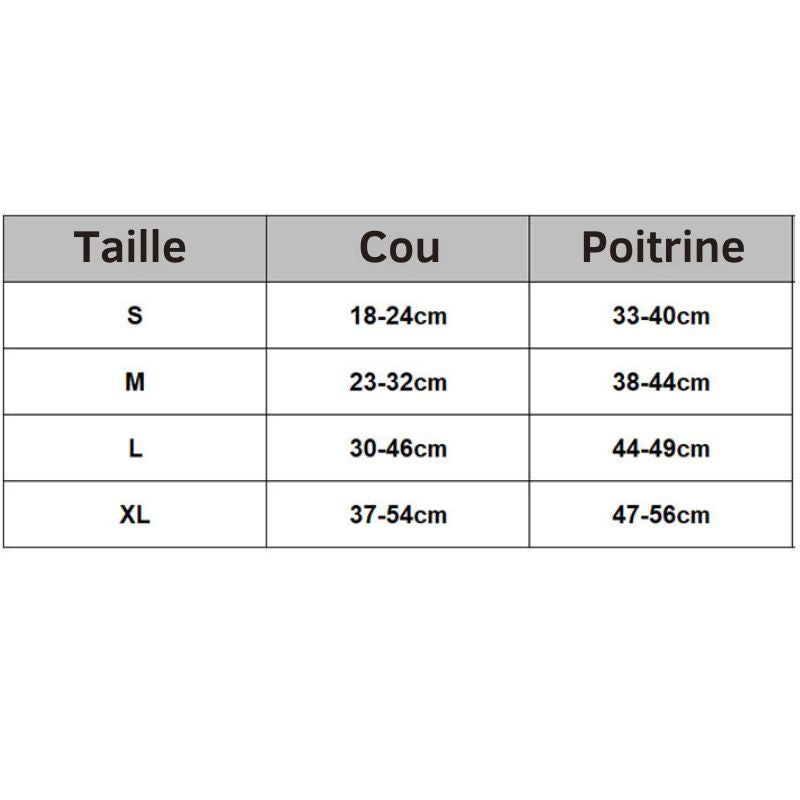 Harnais chat anti-fugue, confortable et résistant.  Promenade sécurisée pour votre matou.