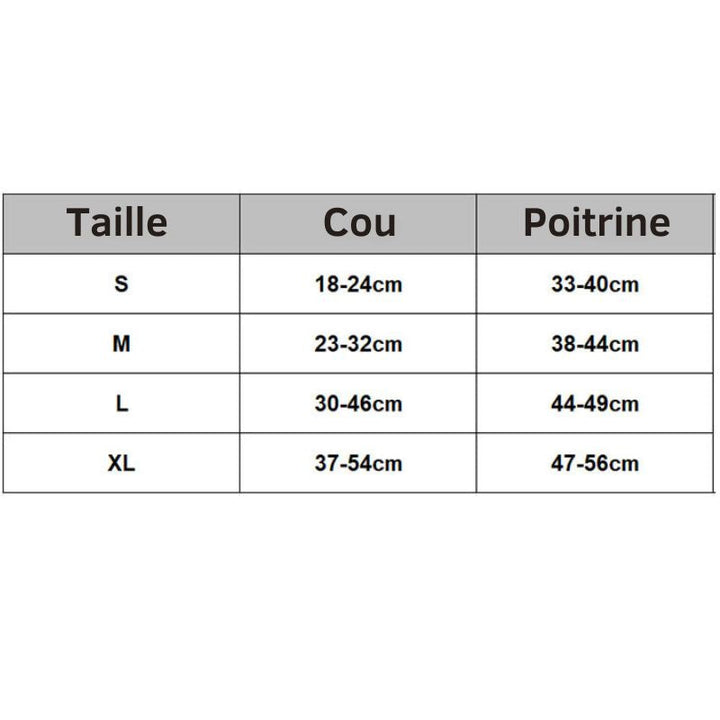Harnais chat anti-fugue, confortable et résistant.  Promenade sécurisée pour votre matou.