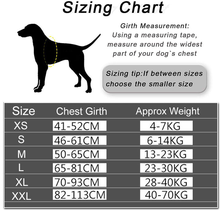 Harnais chien anti-traction personnalisé.  Confort et sécurité assurés.  Design robuste et ajustable.