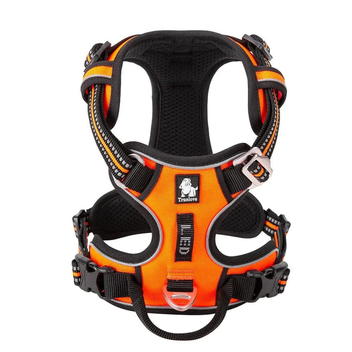 Harnais chien confortable et résistant.  Design moderne, tailles XS-XL.