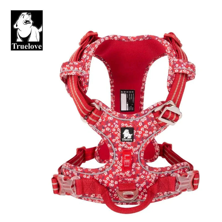 Harnais chien confortable et résistant.  Design moderne, tailles XS-XL.