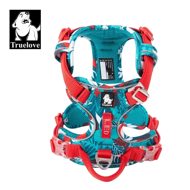 Harnais chien confortable et résistant.  Design moderne, tailles XS-XL.