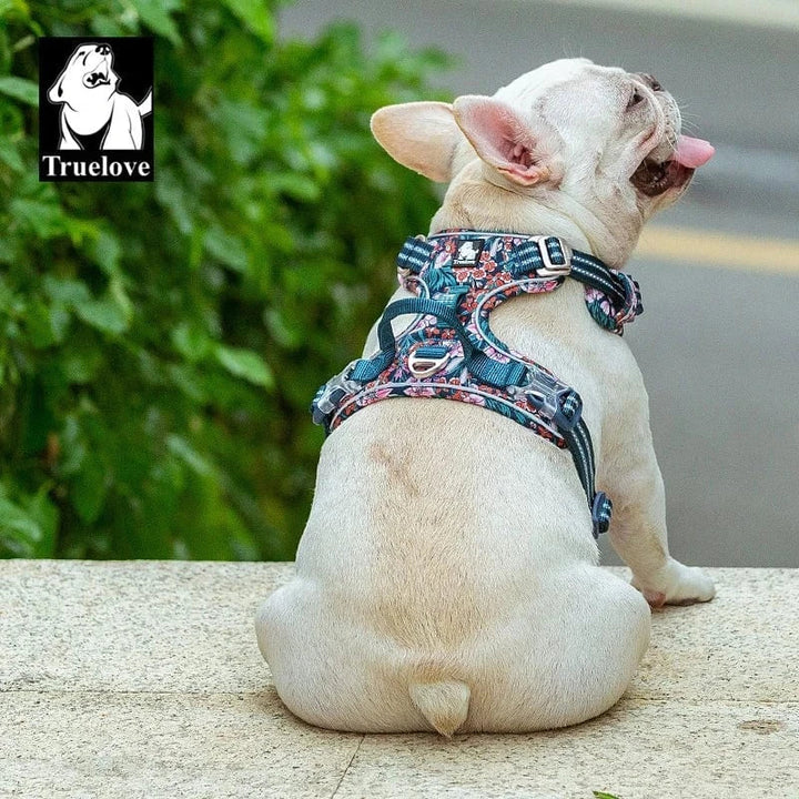 Harnais chien confortable et résistant.  Design moderne, tailles XS-XL.