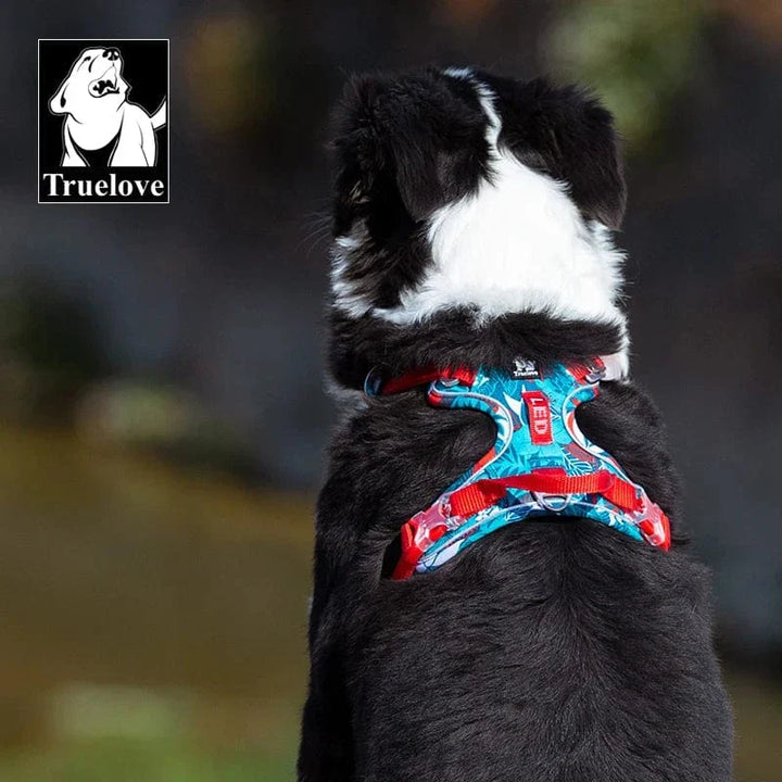 Harnais chien confortable et résistant.  Design moderne, tailles XS-XL.