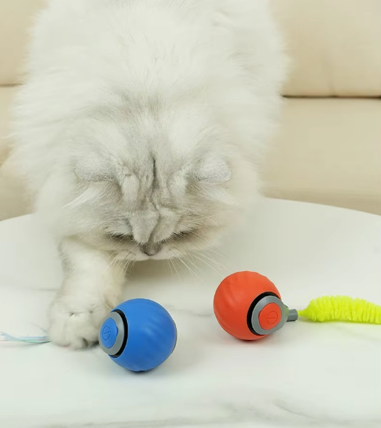 Jouet chat automatique, mouvement imprévisible, stimulation chasse.