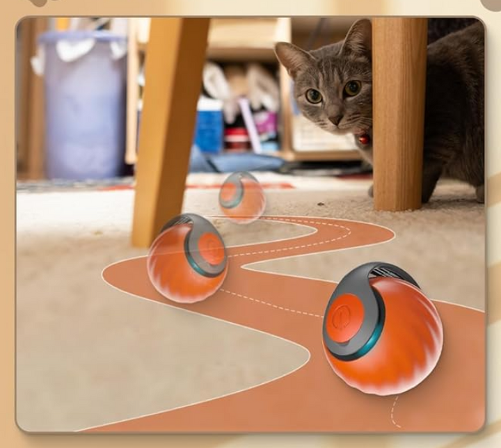 Jouet chat automatique, mouvement imprévisible, stimulation chasse.
