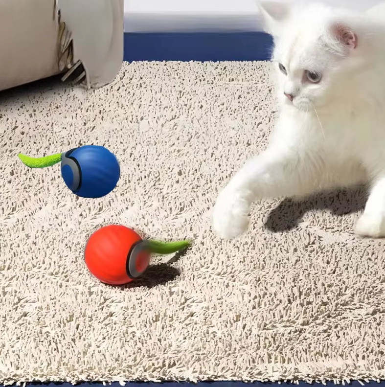 Jouet chat automatique, mouvement imprévisible, stimulation chasse.