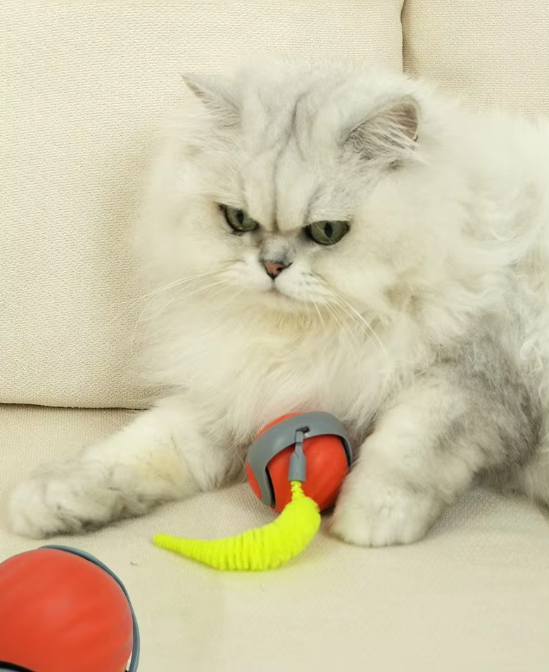 Jouet chat automatique, mouvement imprévisible, stimulation chasse.