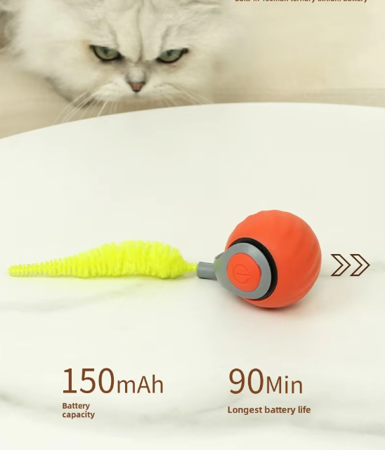 Jouet chat automatique, mouvement imprévisible, stimulation chasse.