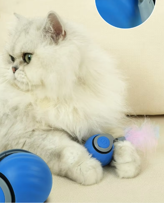 Jouet chat automatique, mouvement imprévisible, stimulation chasse.
