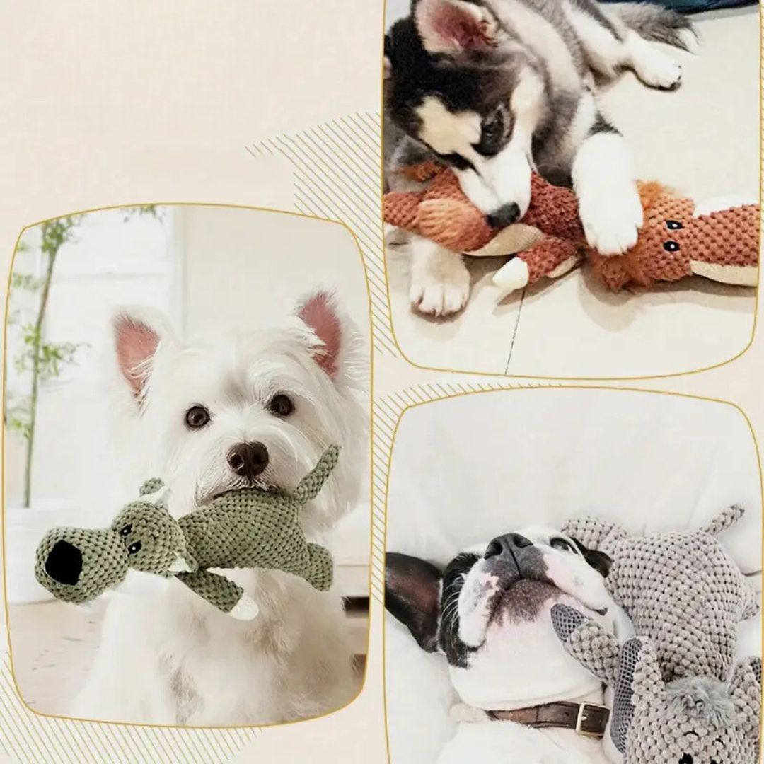 Jouet chien robuste, lion, loup ou éléphant.  Durable, pour mâcher,  entretien dentaire.