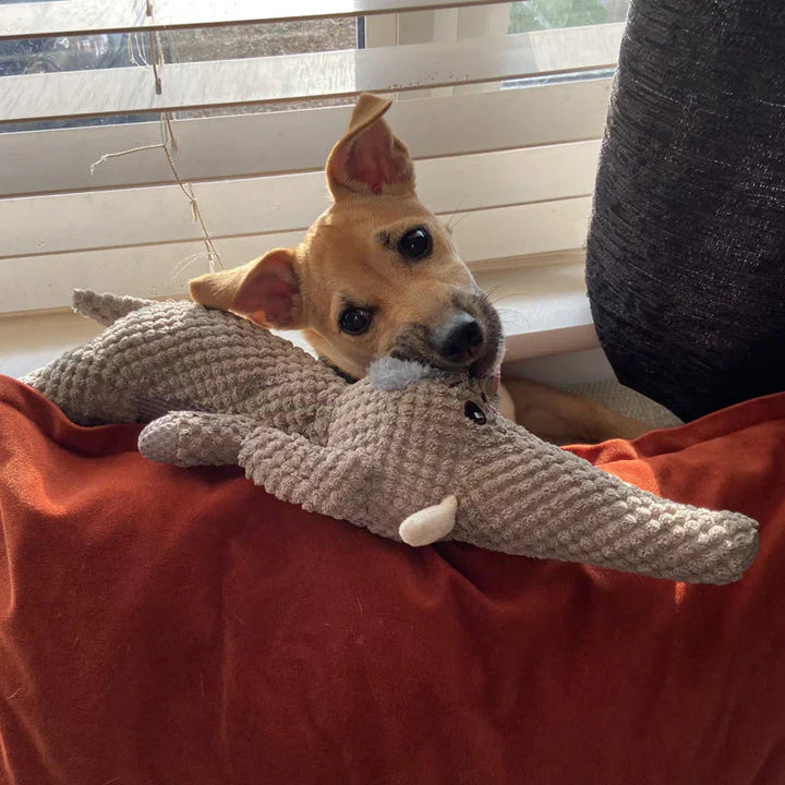 Jouet chien robuste, lion, loup ou éléphant.  Durable, pour mâcher,  entretien dentaire.