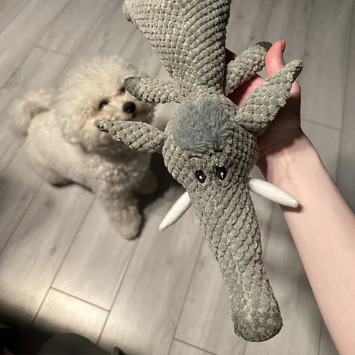 Jouet chien robuste, lion, loup ou éléphant.  Durable, pour mâcher,  entretien dentaire.
