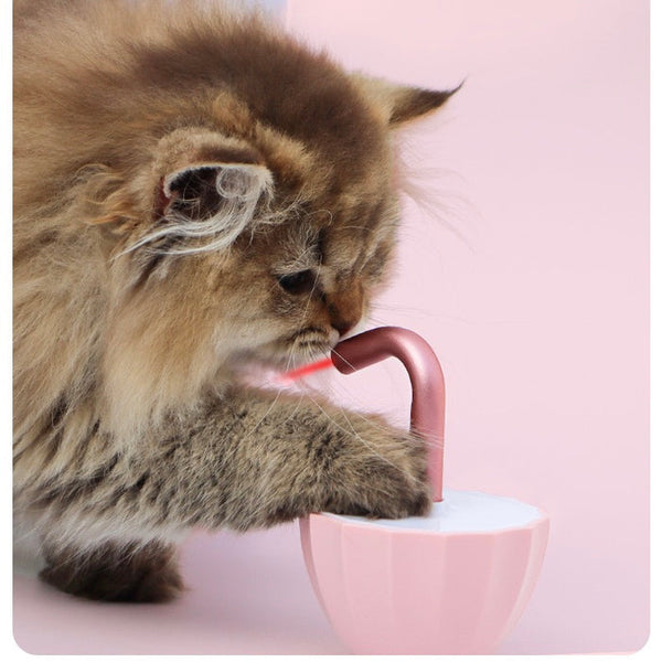 "Jouet interactif pour chats avec laser rouge, mouvement automatique et plusieurs couleurs vives pour amusement assuré."