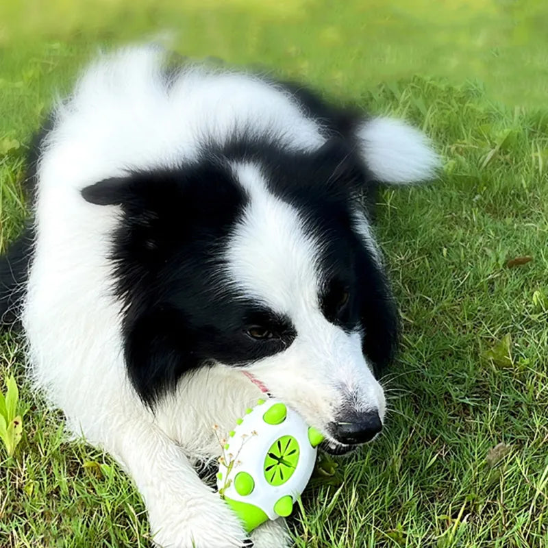 Jouet interactif pour chien. Distributeur de friandises intégré.  Stimulation mentale & jeu ludique.