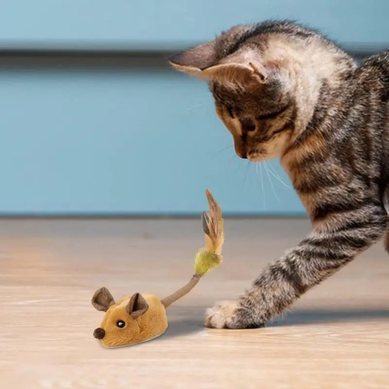 Jouet souris interactif pour chats, gris et réaliste, stimule l'instinct de chasse, durable et amusant toute la journée.