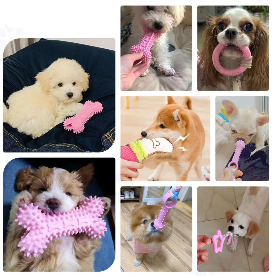 Jouets chiot résistants: peluches, cordes & anneaux pour mâcher. Hygiène dentaire et amusement garantis!