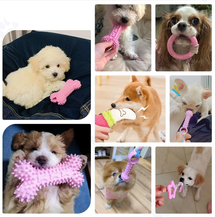 Jouets chiot résistants: peluches, cordes & anneaux pour mâcher. Hygiène dentaire et amusement garantis!