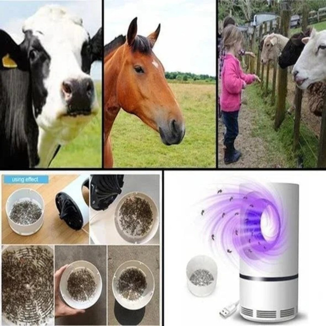 Lampe anti-moustiques silencieuse.  Attrape et élimine les insectes efficacement. Design élégant.