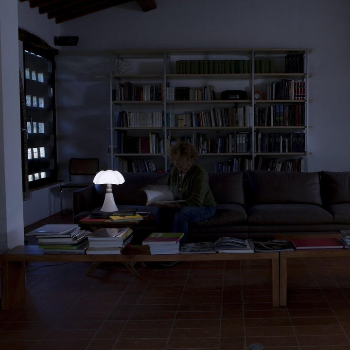 Lampe de Table Flower rétro sans fil LED, design floral en acier, lumière douce et chaleureuse, décoration intérieure élégant