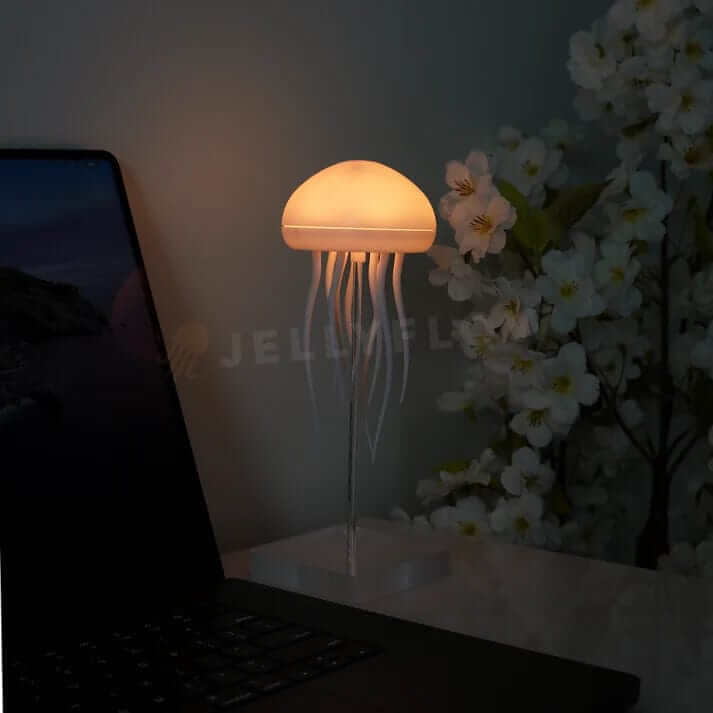 Lampe méduse flottante, lumière douce & apaisante. Décoration maison élégante et originale.