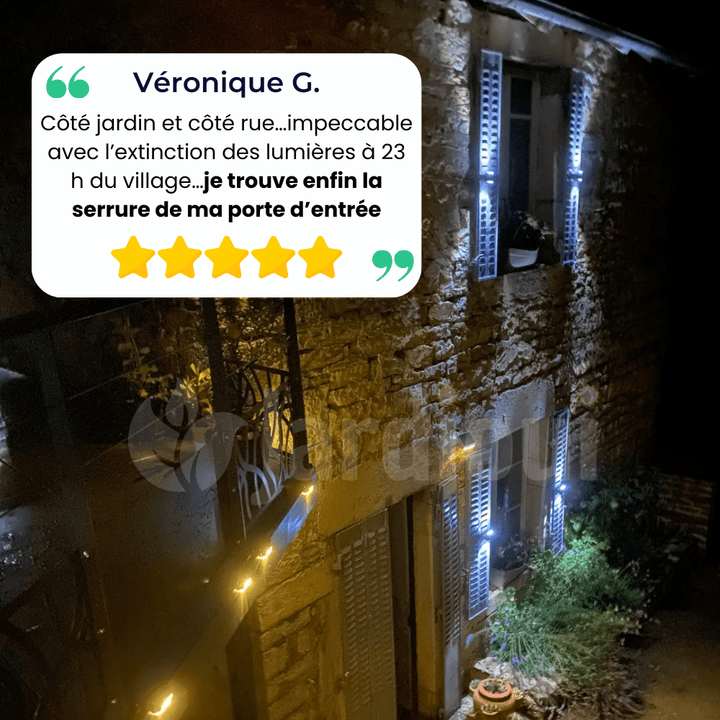Lampe solaire extérieure puissante, détecteur de mouvement intégré. Éclairage LED performant, design moderne. Installation fa