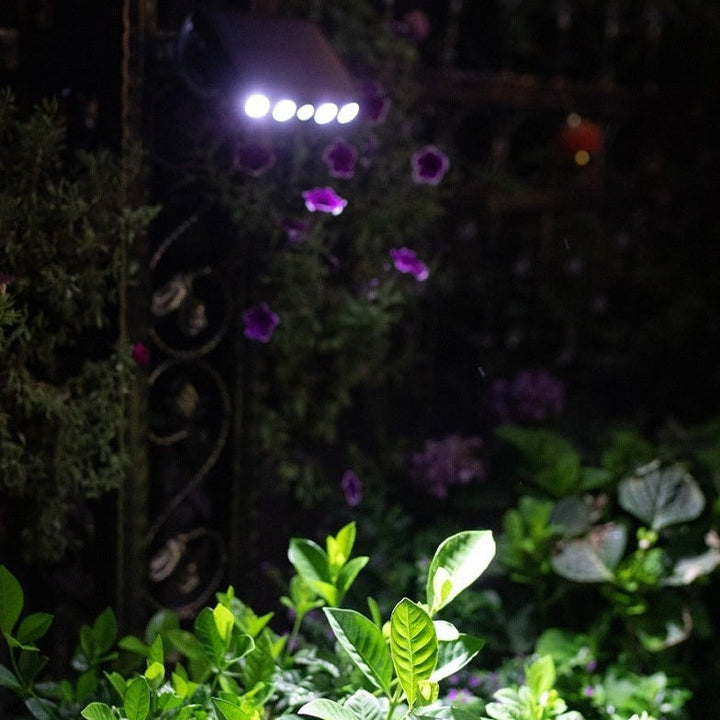 Lampe solaire extérieure puissante, détecteur de mouvement intégré. Éclairage LED performant, design moderne. Installation fa