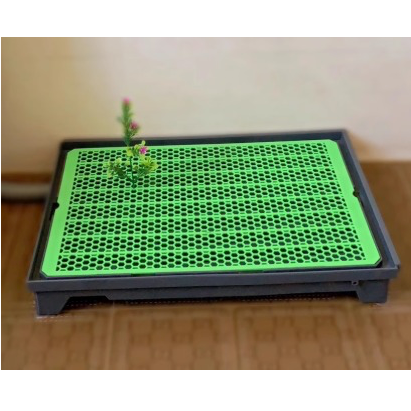 Litière chien grande taille, hygiénique, avec système d'évacuation intégré.  Nettoyage facile et confortable pour votre anima