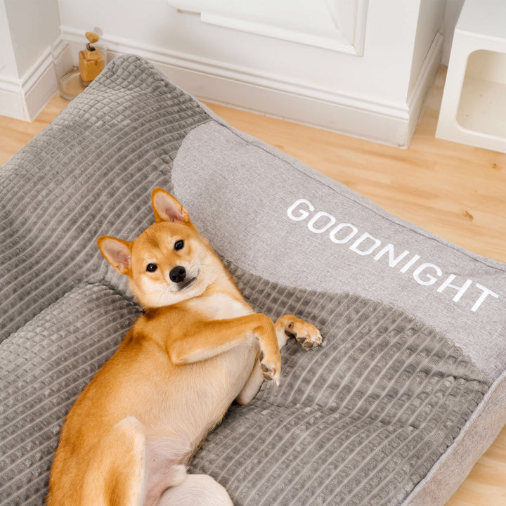 Coussin orthopédique robuste pour grand chien, mousse mémoire haute densité, soutien durable des articulations.