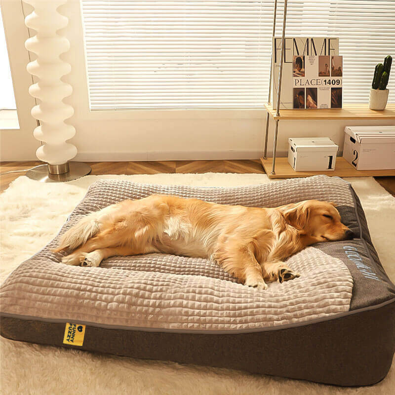 Lit pour chien luxe avec mousse mémoire épaisse, offrant un confort orthopédique supérieur pour animaux.