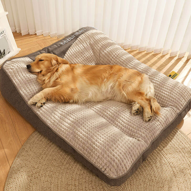 Coussin orthopédique pour chien, mousse mémoire, soutien articulaire pour vieux chiens et animaux blessés.