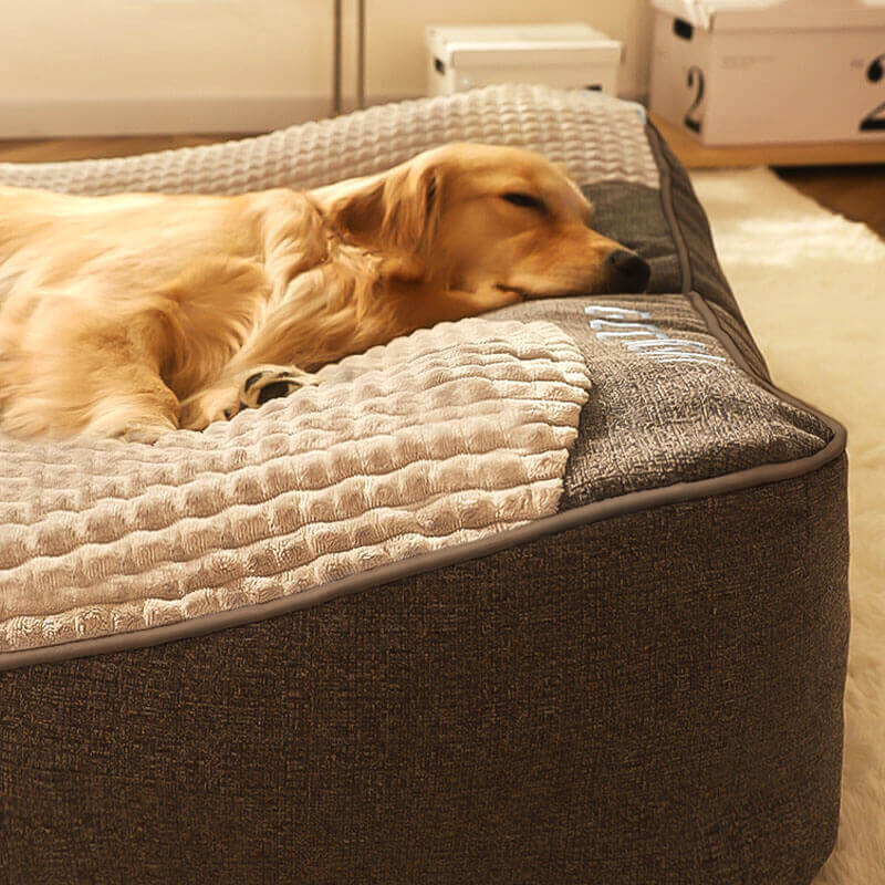 Grand coussin orthopédique luxe pour chien, mousse mémoire durable, idéal pour les grandes races et animaux.