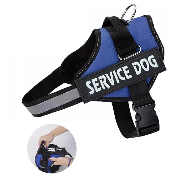 Harnais Chien Anti-Traction Personnalisé - Sécurité & Confort
