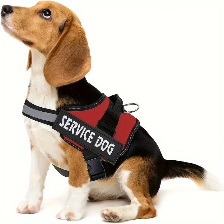 Harnais Chien Anti-Traction Personnalisé - Sécurité & Confort