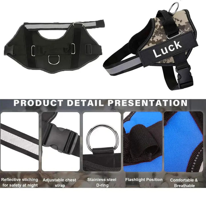 Harnais Chien Anti-Traction Personnalisé - Sécurité & Confort