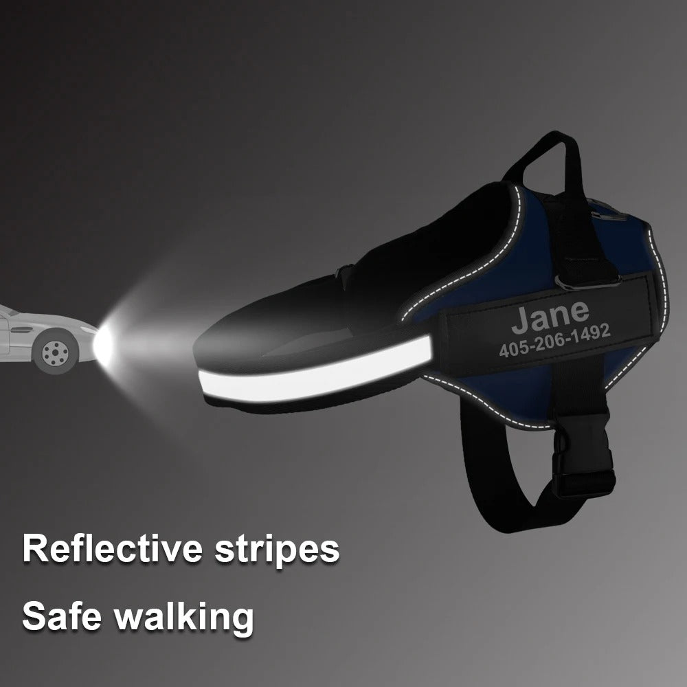 Harnais Chien Anti-Traction Personnalisé - Sécurité & Confort