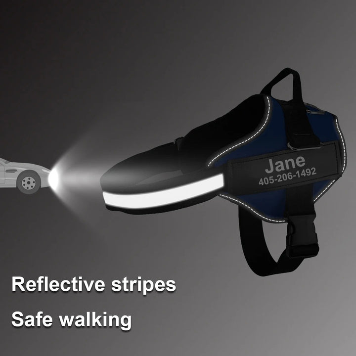 Harnais Chien Anti-Traction Personnalisé - Sécurité & Confort