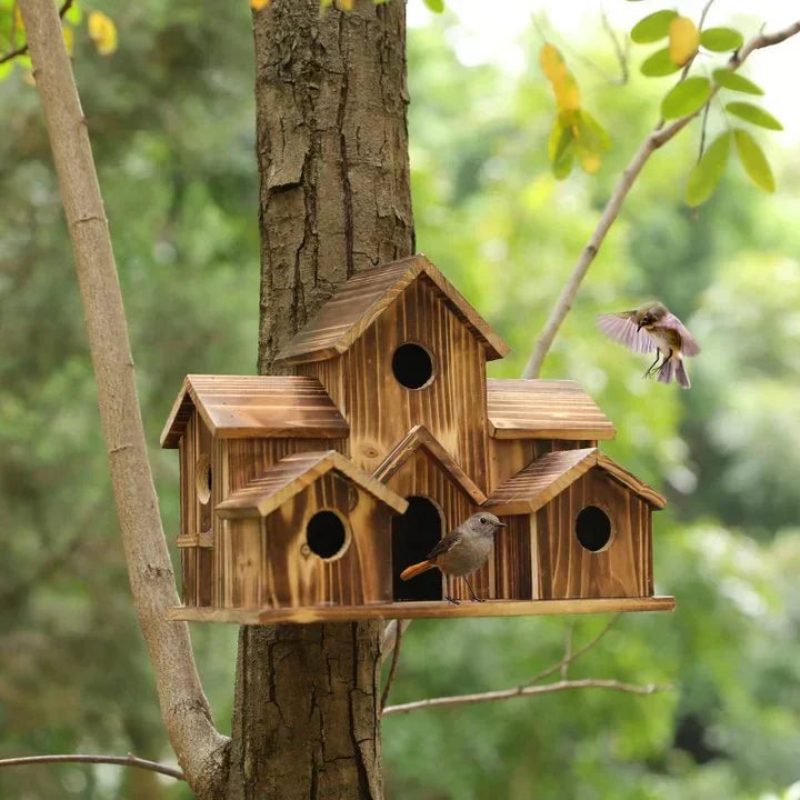 Maisonnette oiseaux jardin bois, abri extérieur élégant et résistant. Refuge confortable pour oiseaux.