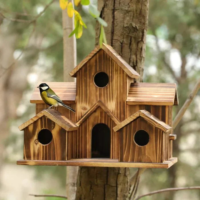 Maisonnette oiseaux jardin bois, abri extérieur élégant et résistant. Refuge confortable pour oiseaux.