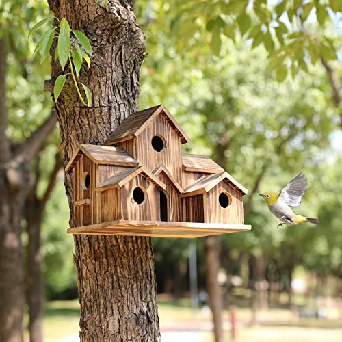 Maisonnette oiseaux jardin bois, abri extérieur élégant et résistant. Refuge confortable pour oiseaux.