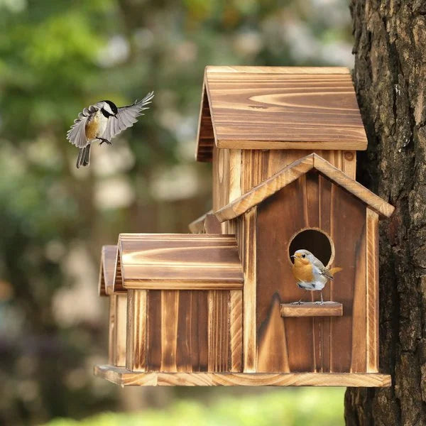 Maisonnette oiseaux jardin bois, abri extérieur élégant et résistant. Refuge confortable pour oiseaux.