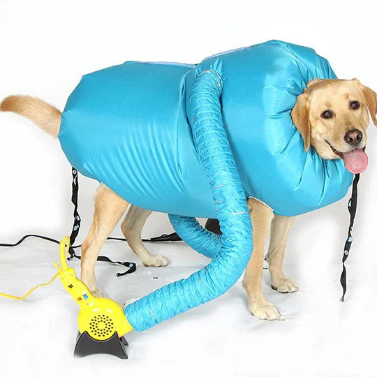 Manteau séchage animal, air chaud. Séchage rapide et doux après le bain. Tailles S, M, L.