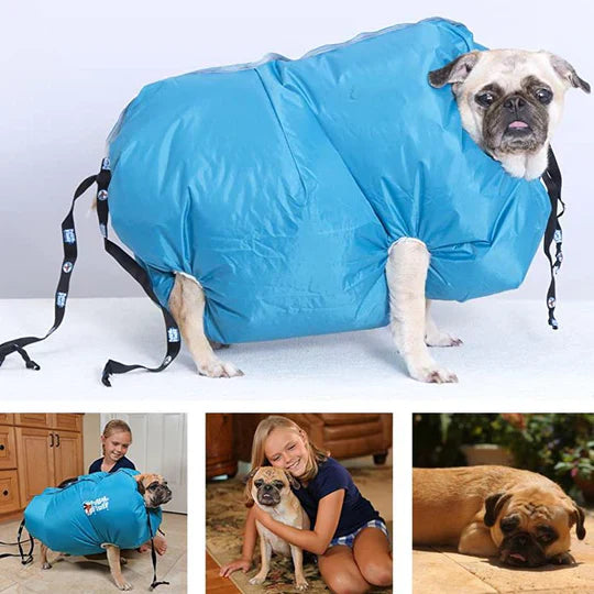 Manteau séchage animal, air chaud. Séchage rapide et doux après le bain. Tailles S, M, L.