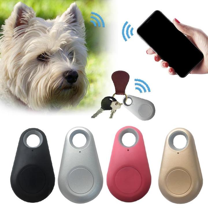 "Mini traceur GPS imperméable pour animaux - Vue détaillée, compact et léger, idéal pour suivi précis de votre compagnon."