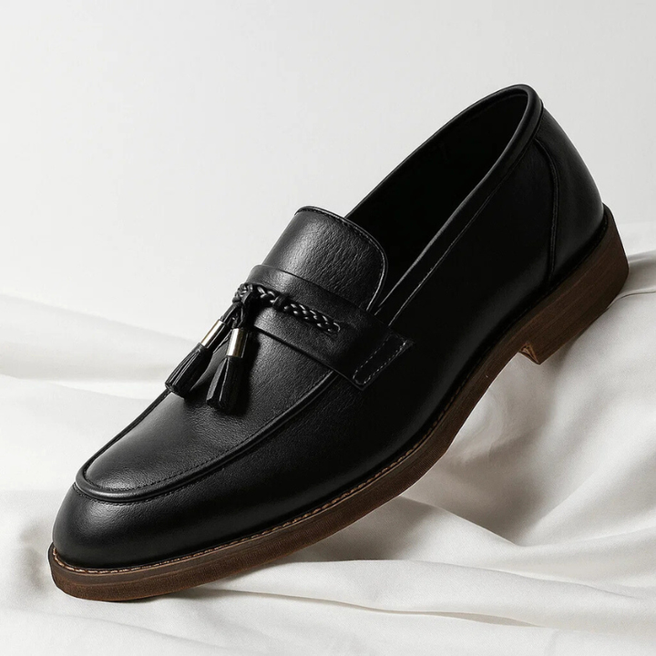 Paire de mocassins habillés pour hommes, couleur marron avec glands, style intemporel pour un confort chic.